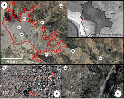 The Behavioral Responses of the Chiguanco Thrush to Urbanization in a Neotropical City Comes From Preadapted Behavioral Traits